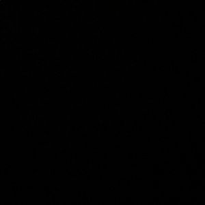 Meet your Posher, Darian